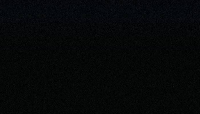 Ford – NP – NEGRO PURO