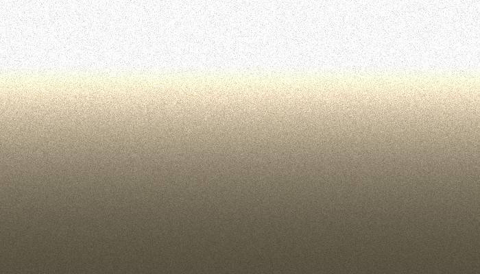 Nissan – EY1 – CHAMOIS