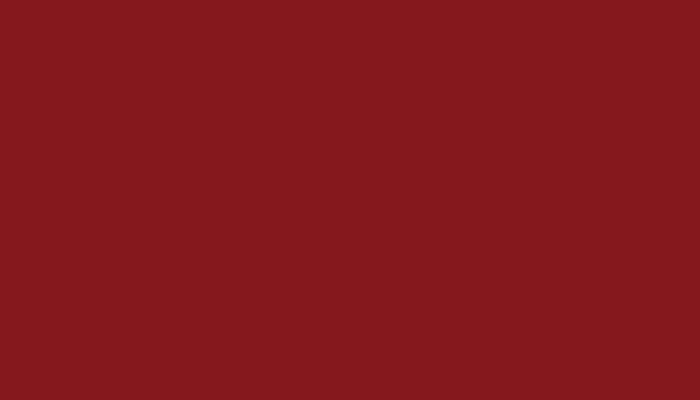 Nissan – 664 – RED