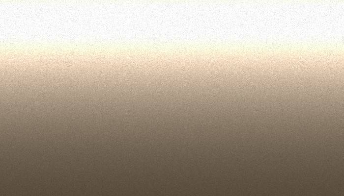 Suzuki – 7713 – IMPERIAL BEIGE