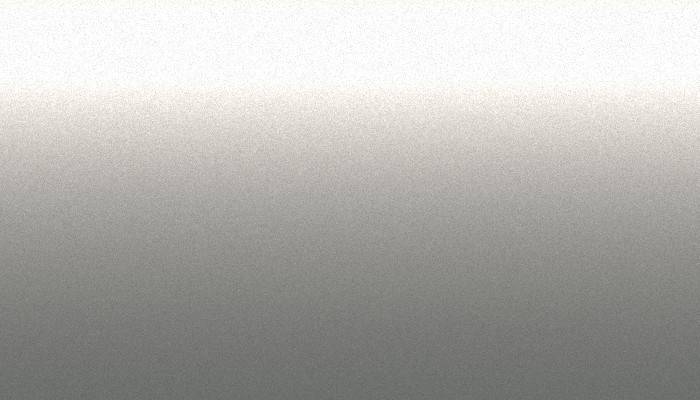 Suzuki –  – SILVER