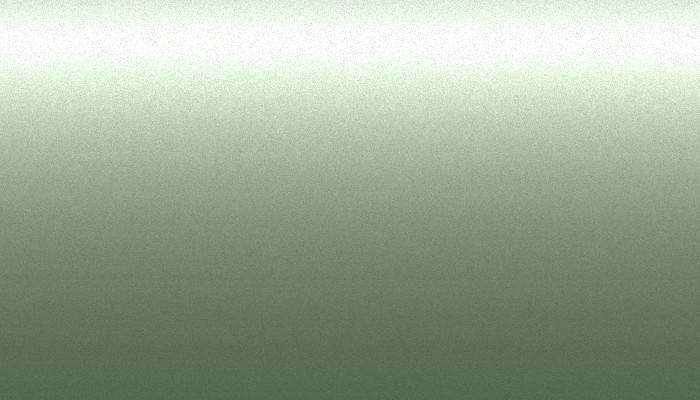 BMW – 408 – PALMETTOGRUEN II