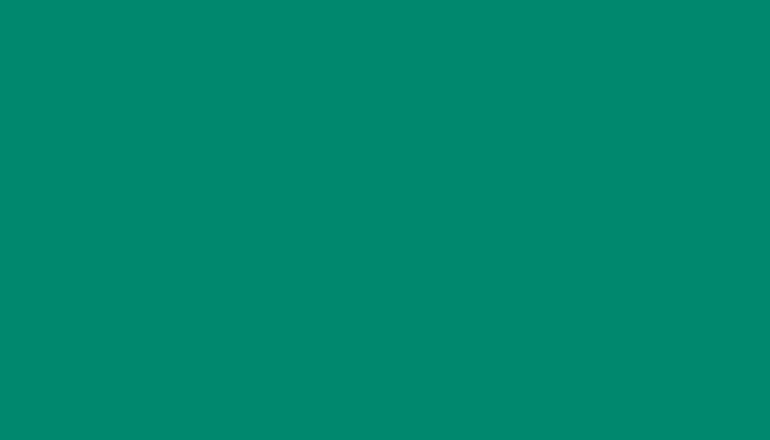 Fiat – 397 – VERDE MARINA