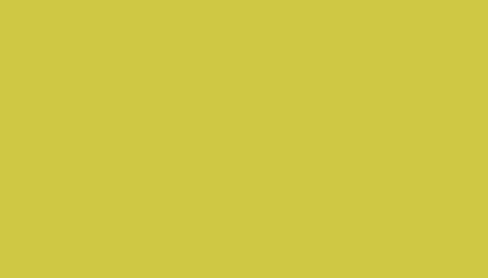 Fiat – 053A – GIALLO ARROGANTE