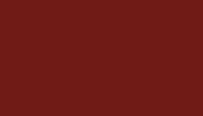 Fiat – 108 – ROSSO SCURO
