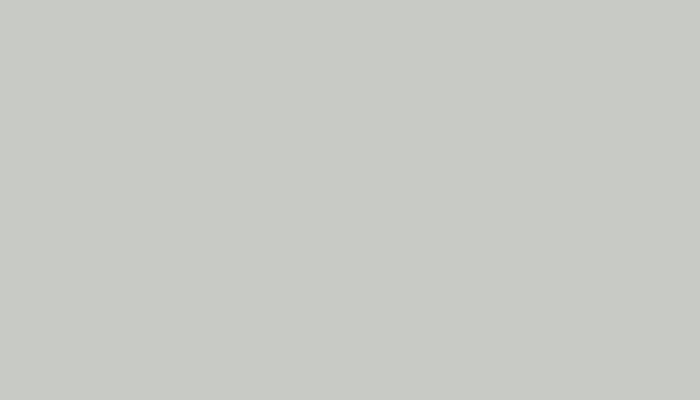 Fiat – 631A – GRIGIO LUCE-VEIC.COMM.LI