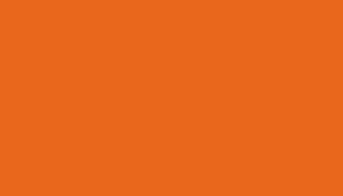 Fiat – 031E – ARANCIO RTT