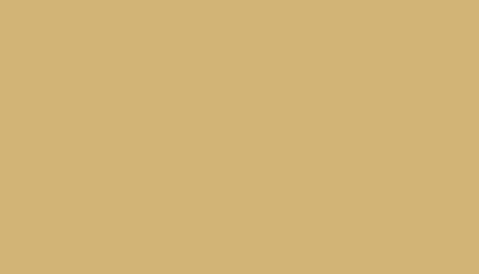 Nissan – EP2 – YELLOW