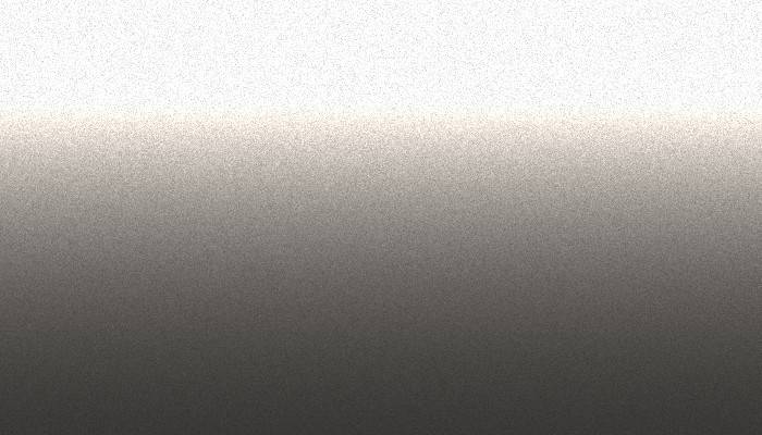 Nissan – LK29 – DARK GRAY  (1)