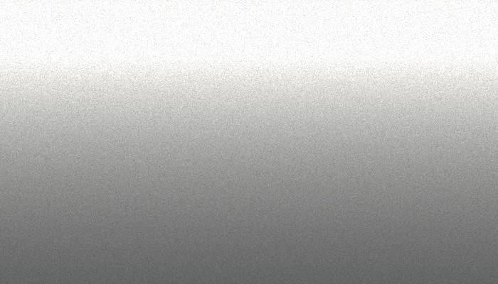 Ford –  – STARDUST SILVER