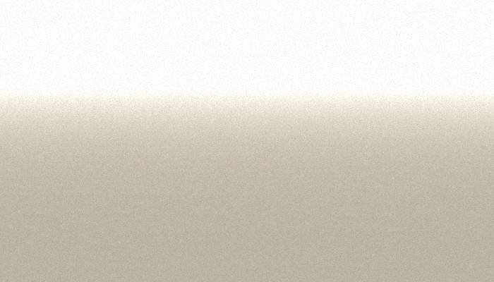 Ford – WB – PERFORMANCE WHITE