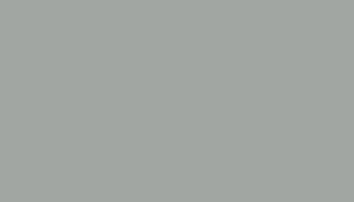 GMC – 17T – PEARL GRAY
