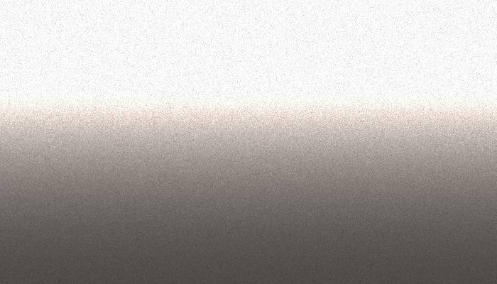 Lexus – 1B1 – CHAMPAGNE