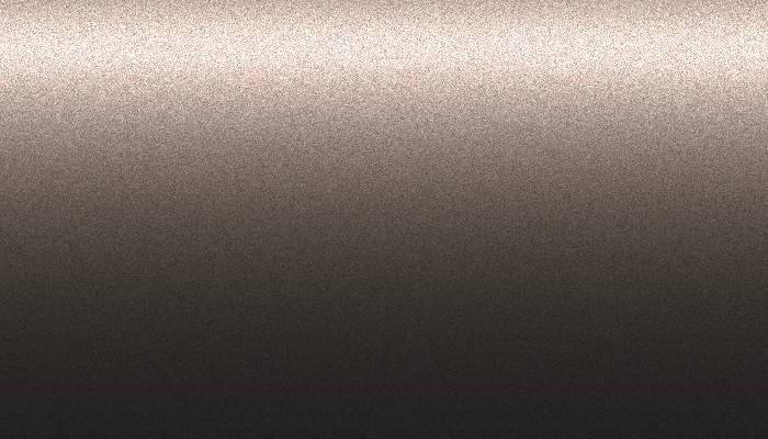 Lexus – 4N8 – GRAYISH BROWN