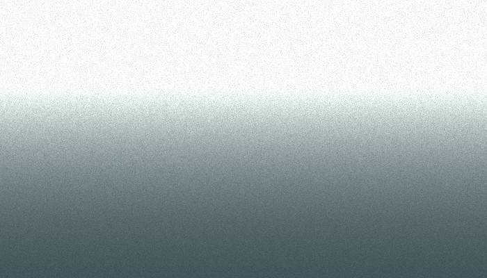 Nissan – 257 – BRIGHT