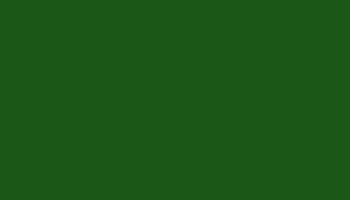 Leyland – M6451GREE – MALACHITE GREEN