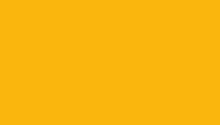 Lotus – B47 – YELLOW (2C)