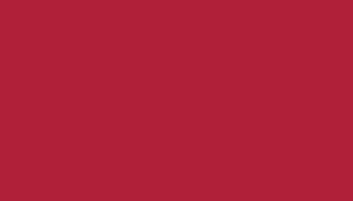 MAN – 3027 – HIMBEERROT RAL3027