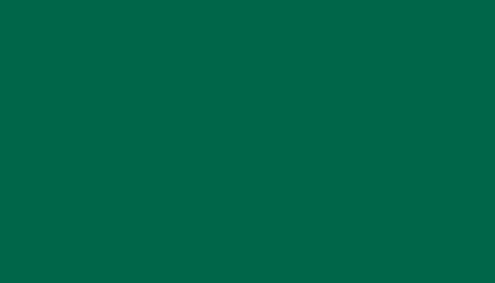 MAN – 6016 – TUERKISGRUEN RAL6016