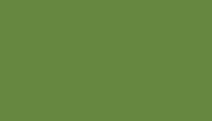 Mazda – FN – PRAIRIE GREEN