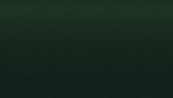 VW Volkswagen – LZ6X – GOODWOOD GREEN