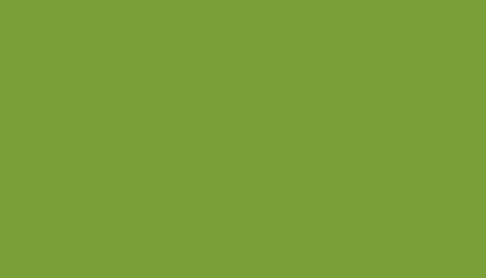 Mitsubishi – DG – LOUISIANA GREEN