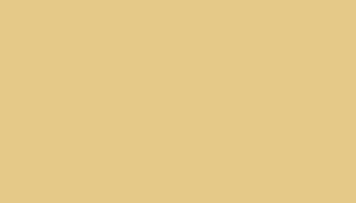 Mitsubishi – Y42 – ARIZONA CREAM
