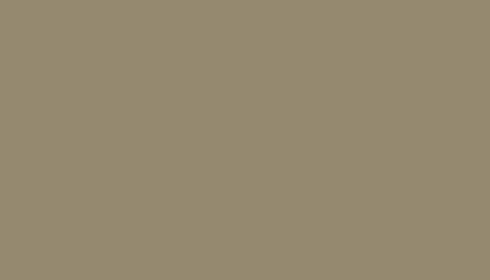 Nissan – 104 – BEIGE