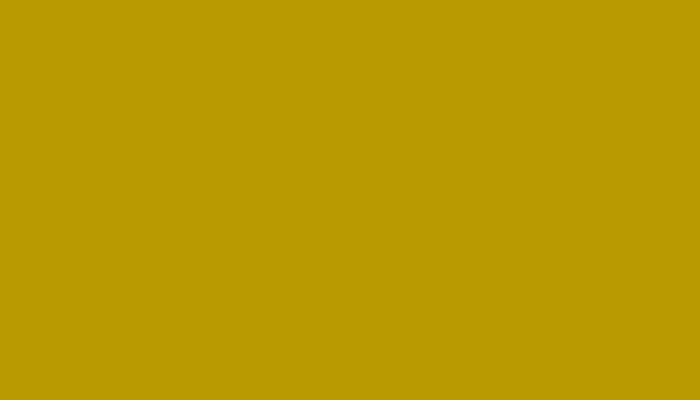 Nissan – 224 – YELLOW