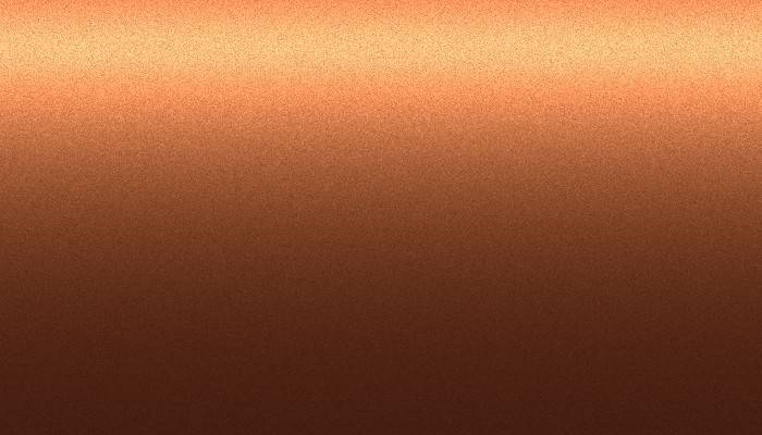 Nissan – 301 – BROWN