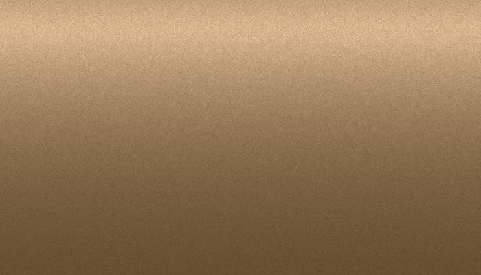 Nissan – 304 – GOLD