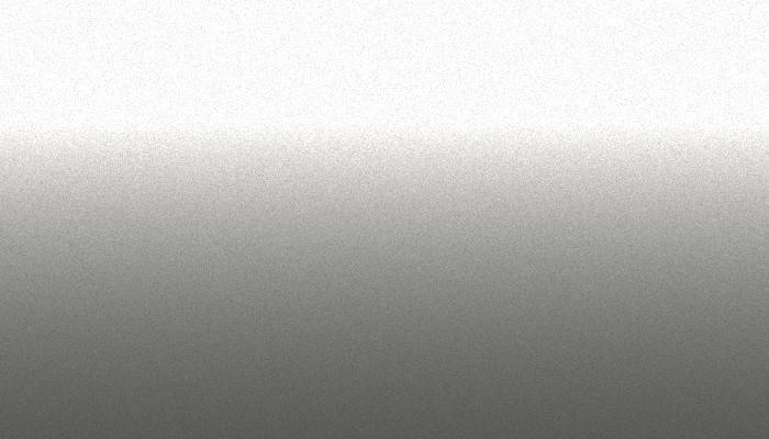 Nissan – 306 – SILVER