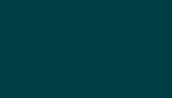 Nissan – 219 – BLUE GREEN