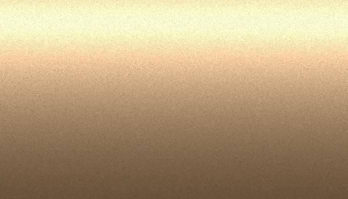 Nissan – 519 – BEIGE BROWN