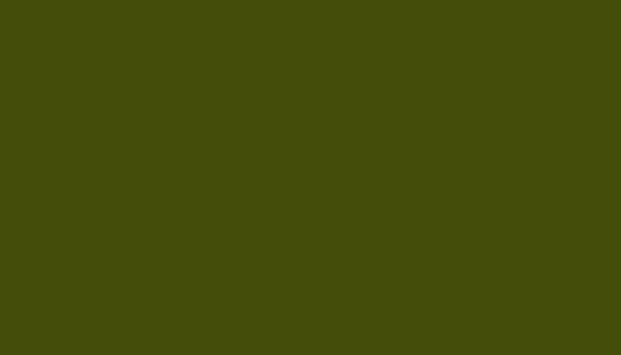 Nissan – 626 – OLIVE GREEN