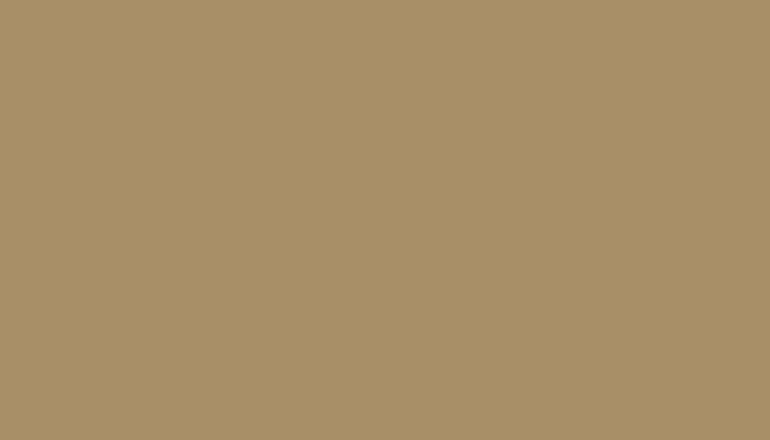 Nissan – 617 – BEIGE