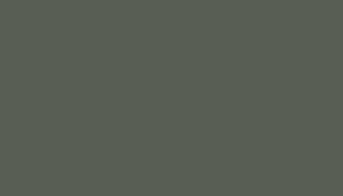 Nissan – 818 – GREEN