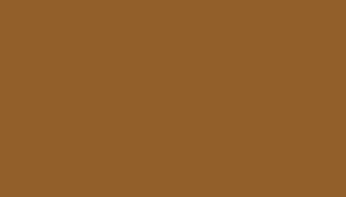 Nissan – 908 – BROWN