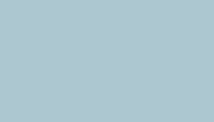 Nissan – 570 – BLUE