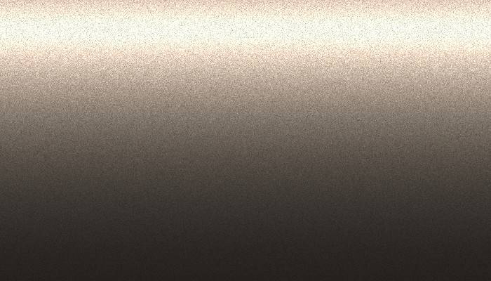 Nissan – CP1 – BROWNISH GRAY