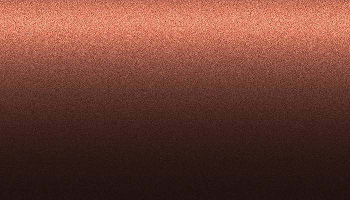 Nissan – CS2 – BRONZE