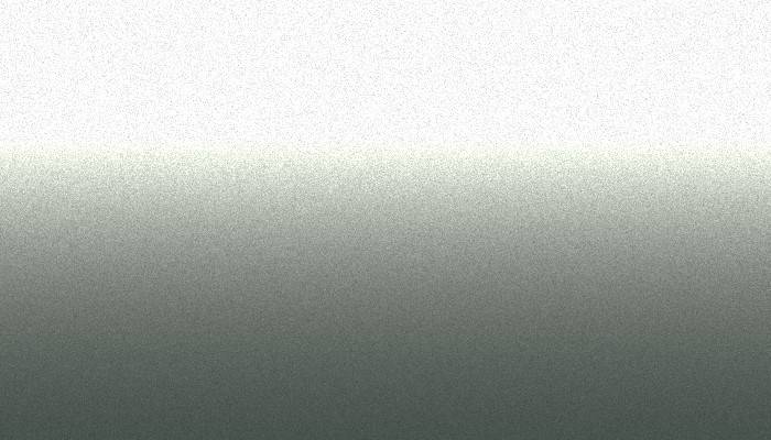 Nissan – DT1 – GREENISH SILVER