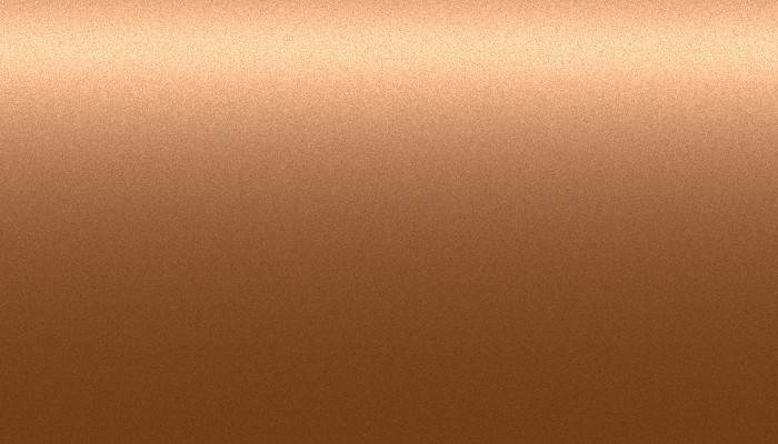 Nissan – CT0 – CARAMEL BROWN