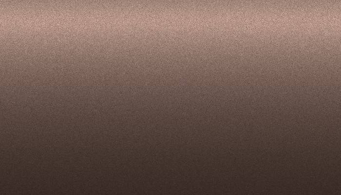 Nissan – 209 – GREYISH BROWN