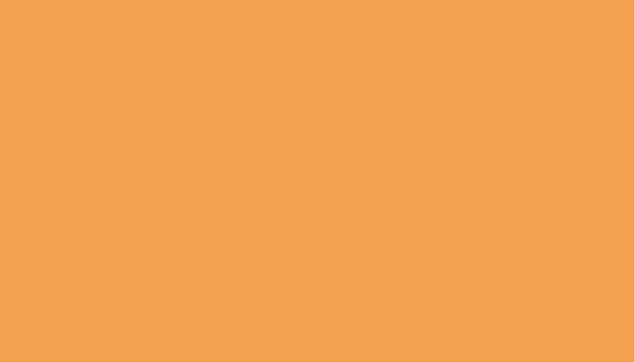 Nissan – 129 – ORANGE