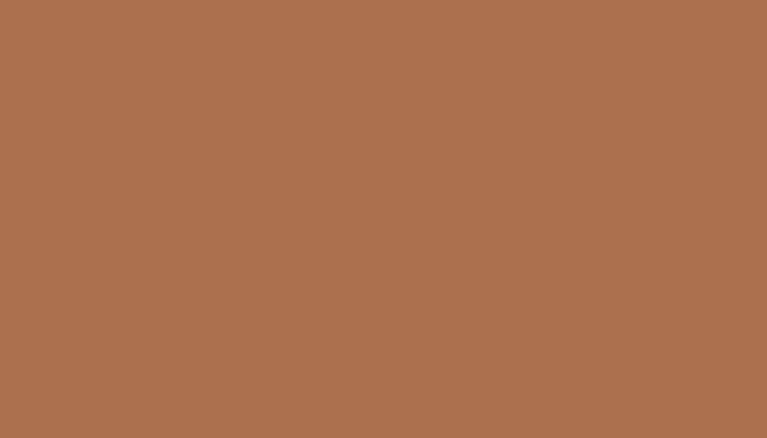Nissan – 921 – BROWN