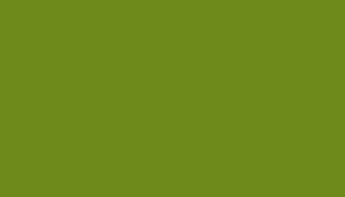 Nissan – 684 – GREEN