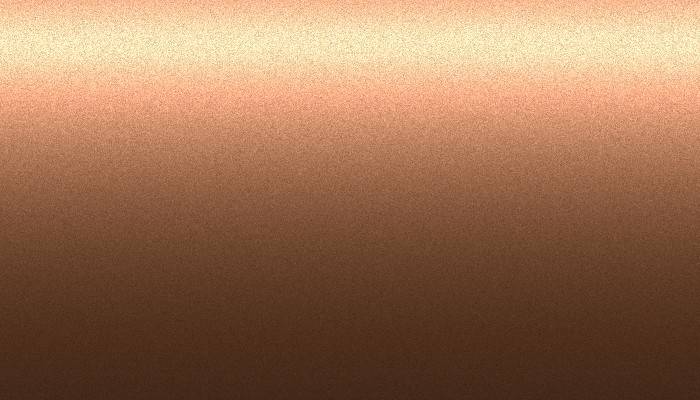 Nissan – 842 – BRONZE BROWN