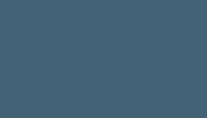 Nissan – 660 – CHINA BLUE