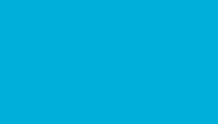 Nissan – 646 – BLUE
